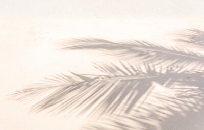 Fototapete Ombre de palmes sur plage de sable doré