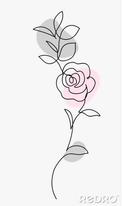 Fototapete One line drawing. Ornament with garden rose and leaves. Hand drawn sketch. Vector illustration.
