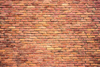 Fototapete Orange-rosa Backsteinmauer