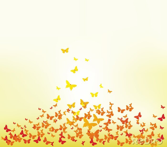 Fototapete Orangefarbene Schmetterlinge in der Sonne