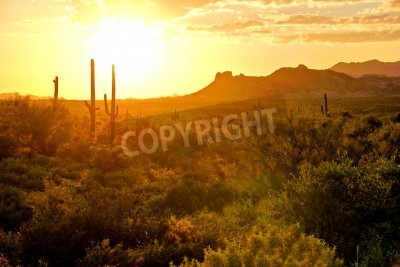 Fototapete Orangefarbene Sonne in der Wüste in Arizona