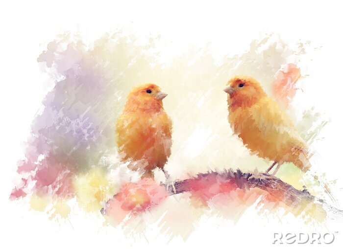 Fototapete Orangefarbene Vögel in Aquarell