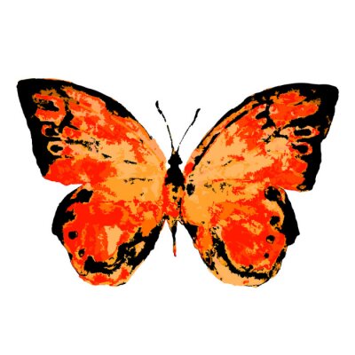 Fototapete Orangefarbener Schmetterling auf weißem Hintergrund