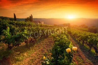 Orangefarbener Sonnenuntergang hinter dem Weingut