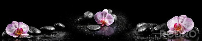 Fototapete Orchidee 3D Steine und Wassertropfen