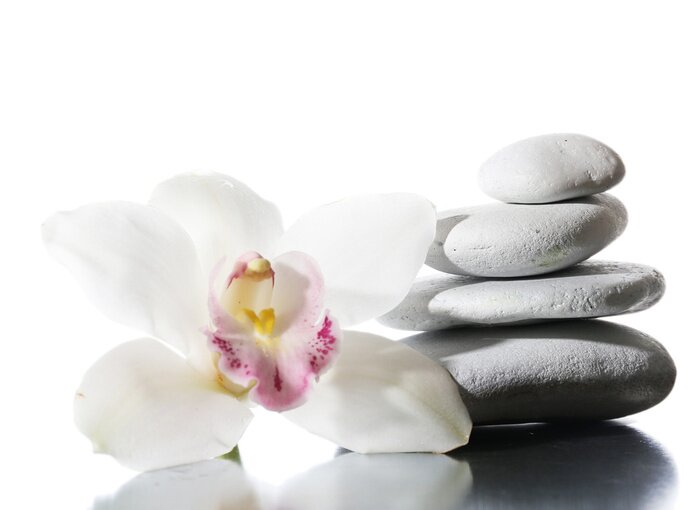 Fototapete Orchidee graue Steine