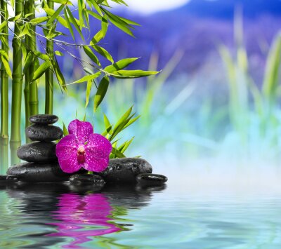Fototapete Orchidee lila und Bambus im Wasser