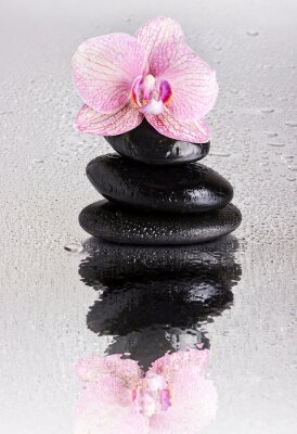 Fototapete Orchidee pink Steine und Wassertropfen