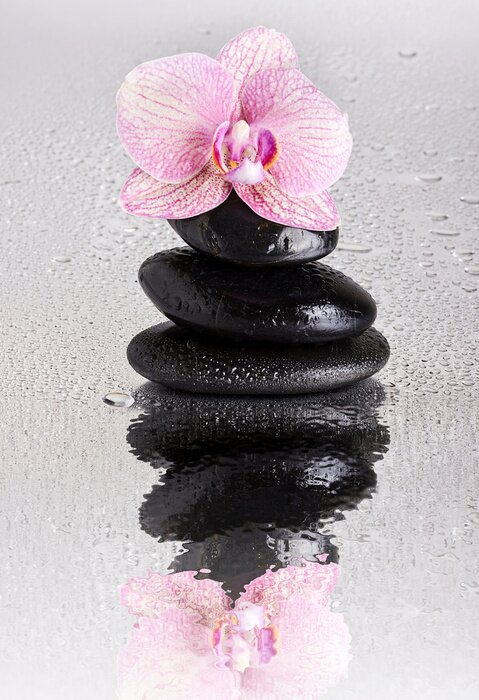 Fototapete Orchidee pink Steine und Wassertropfen