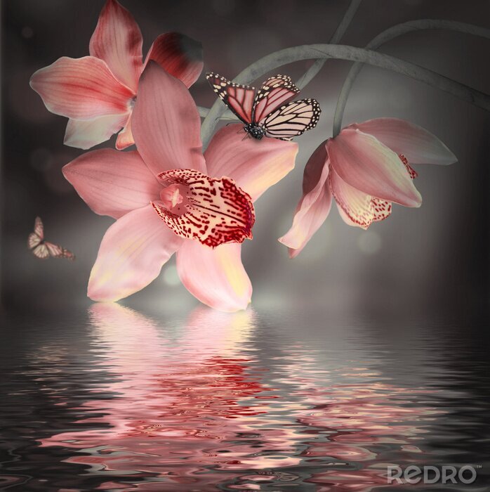 Fototapete Orchidee pink und pastellfarbene Schmetterlinge