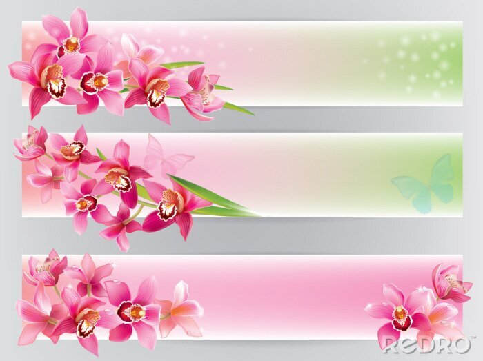 Fototapete Orchideen auf horizontalen Streifen