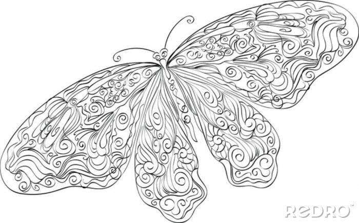 Fototapete Ornamentaler Schmetterling auf weißem Hintergrund