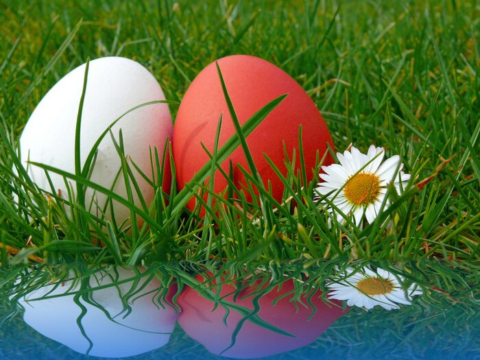 Fototapete Ostereier bunt,Ostern