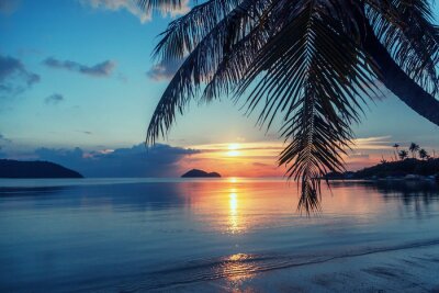 Fototapete Palme am Strand bei Sonnenuntergang
