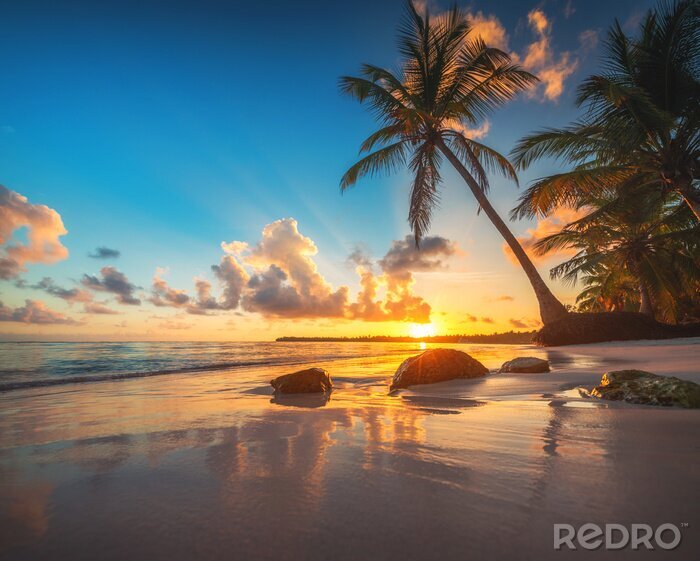 Fototapete Palme am tropischen Strand