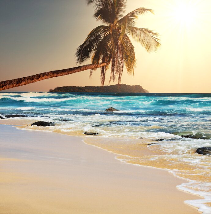 Fototapete Palme und Meer im Retro-Stil