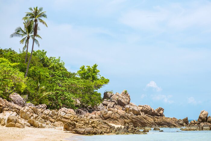 Fototapete Palmen am Meer