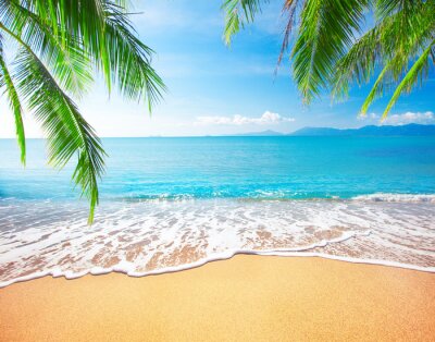 Fototapete Palmen auf tropischem Strand
