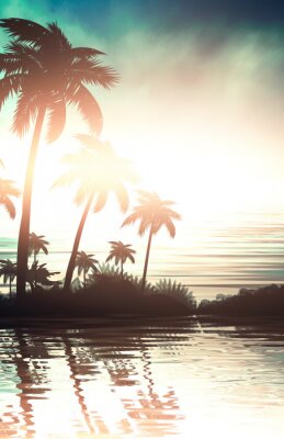 Palmen bei Sonnenuntergang am Wasser