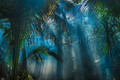 Fototapete Palmen im Dschungel