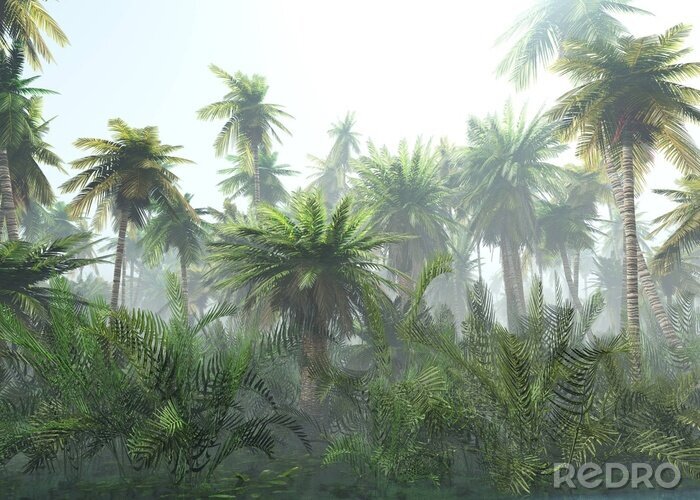 Fototapete Palmen im Nebel