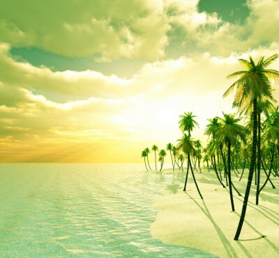 Fototapete Palmen Strand und Meer in der Sonne