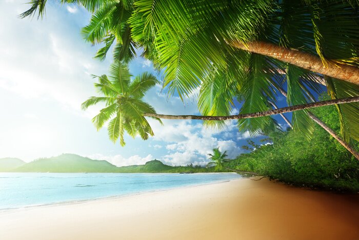 Fototapete Palmen und Meeresufe