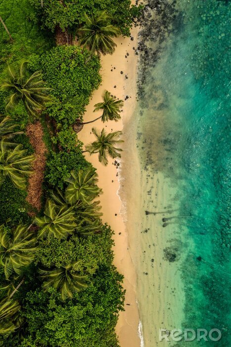 Fototapete Palmen und Ozean aus Vogelperspektive