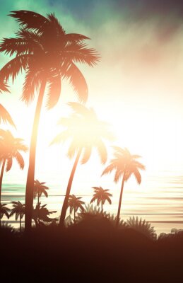 Palmen von der aufgehenden Sonne beleuchtet