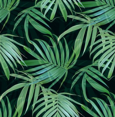 Palmenblätter aus dem Dschungel