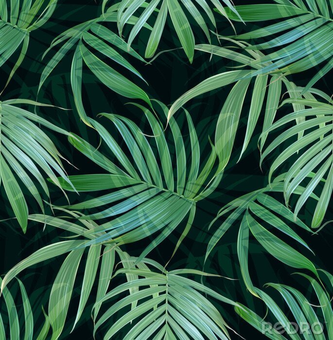 Fototapete Palmenblätter aus dem Dschungel