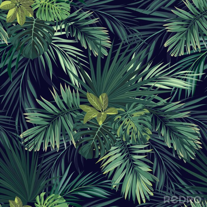 Fototapete Palmenblätter tropisch
