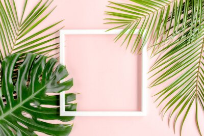Fototapete Palmenblätter und Rahmen auf rosa Hintergrund