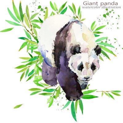 Panda 3d in Aquarell Illustration