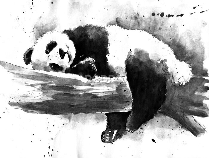 Fototapete Panda auf einem Ast schwarz-weißes Muster