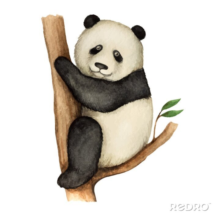 Fototapete Panda Bär auf dem baum