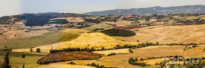 Fototapete Panorama beige Felder