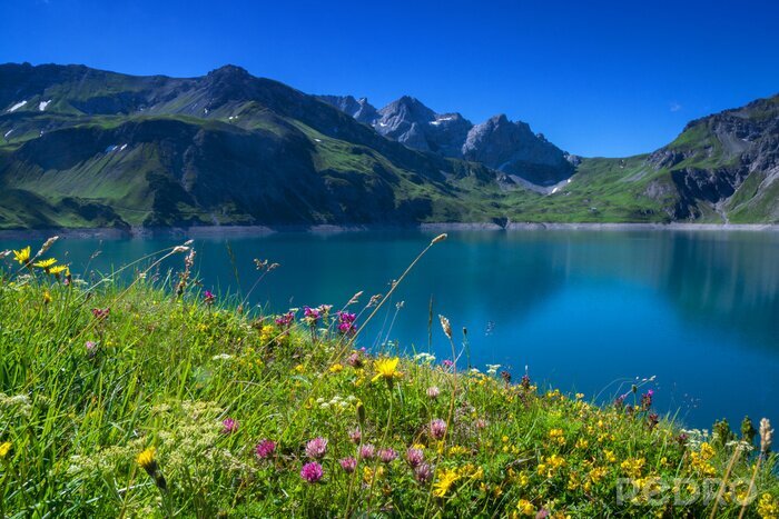 Fototapete Panorama der Berge mit Blumen auf der Wiese