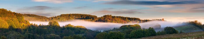 Fototapete Panorama der Natur im Nebel