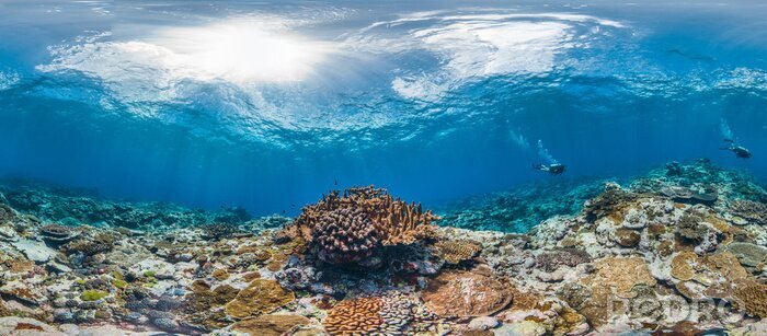 Fototapete Panorama des ozeanischen Korallenriffs