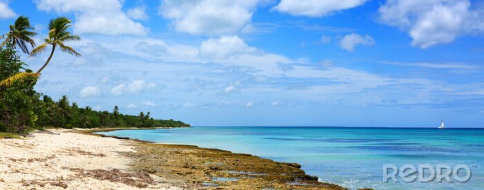 Fototapete Panorama des Strandes und Meeres in der Karibik