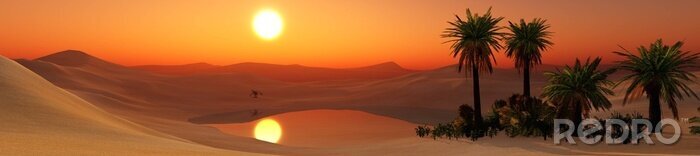 Fototapete Panorama einer Oase in der Wüste