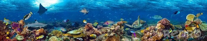 Fototapete Panorama von Korallenriff im Ozean
