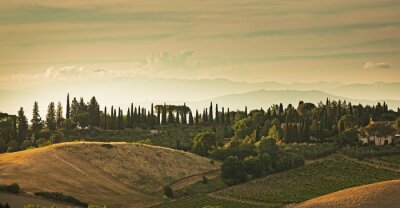 Fototapete Panoramablick auf die Hügel von San Gimignano in der Toskana