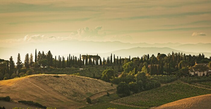 Fototapete Panoramablick auf die Hügel von San Gimignano in der Toskana