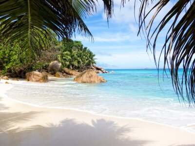 Fototapete Paradiesischer Strand am Meer