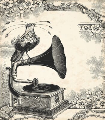 Paradiesvogel und Grammophon