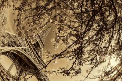 Fototapete Paris Ansicht des Eiffelturms in Sepia