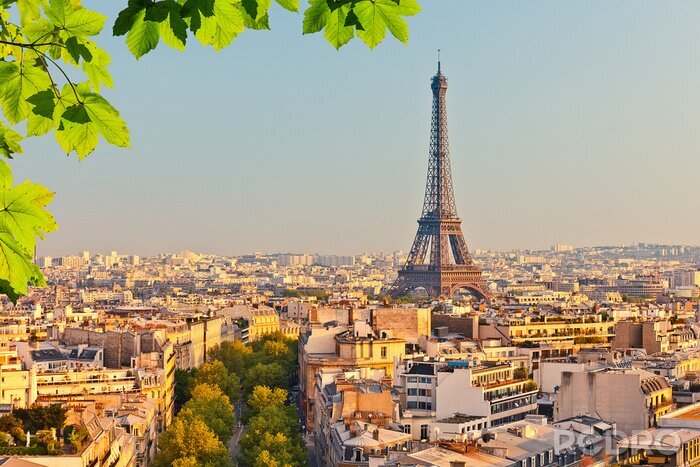 Fototapete Paris Blick auf Eiffelturm