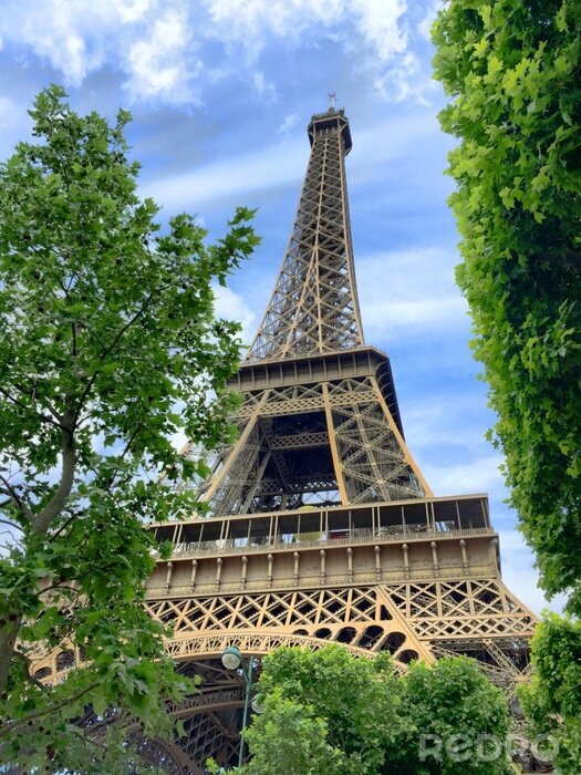Fototapete Paris Eiffelturm und Natur